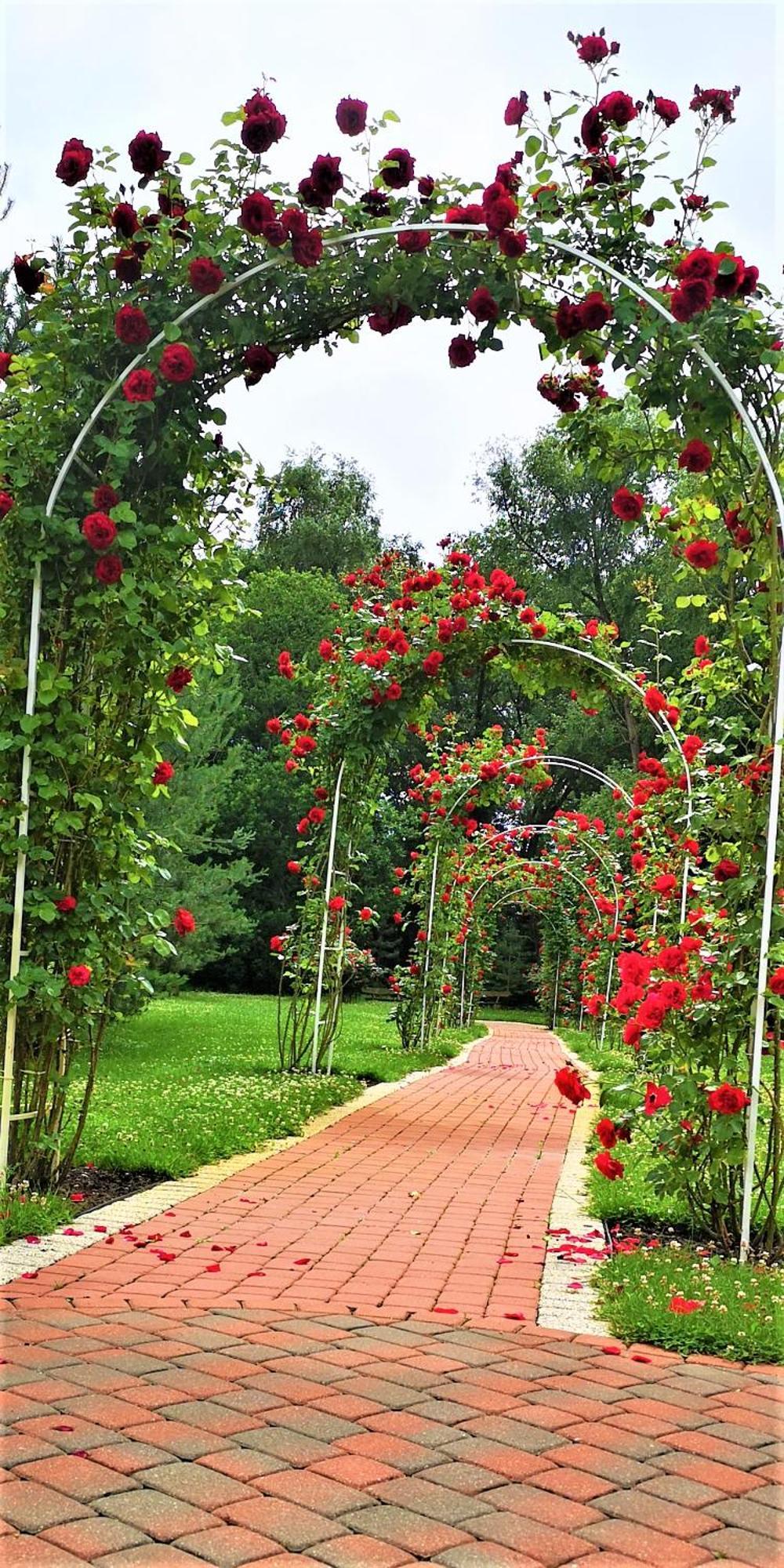 Zupe Guest House Radailiai Екстериор снимка