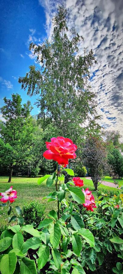 Zupe Guest House Radailiai Екстериор снимка
