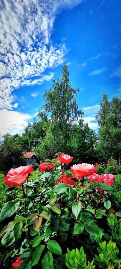 Zupe Guest House Radailiai Екстериор снимка